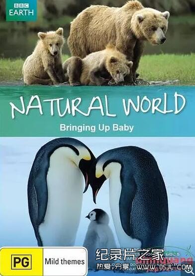[英语中英字幕]动物世界纪录片：BBC 自然世界 动物母性 Bringing Up Baby 全1集图片 No.1