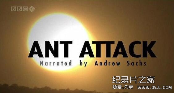 [英语中英字幕]动物世界纪录片：bbc-自然世界：蚂蚁攻击 Natural World: Ant Attack (2006)全1集 高清下载图片 No.1
