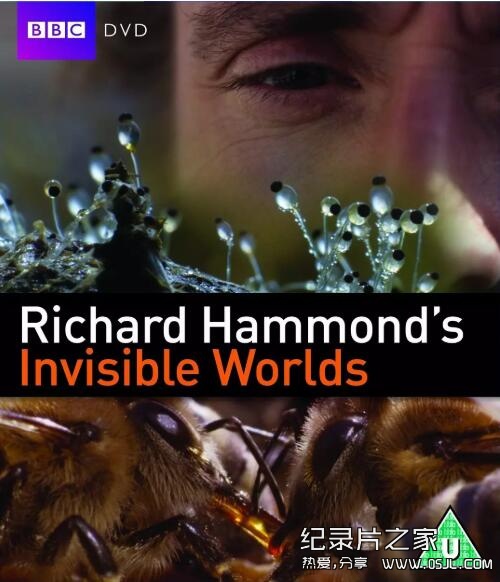 [英语中字]科学探秘纪录片：BBC-理查德·哈蒙德：看不见的世界visible Worlds 全3集图片