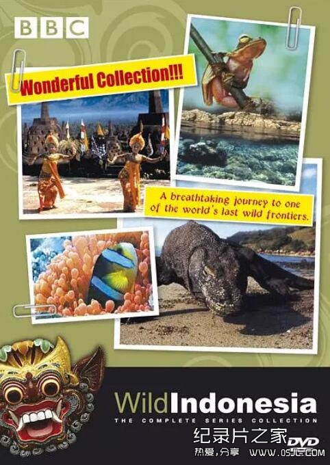[英语中字]人文地理纪录片：bbc-野性印尼 Wild Indonesia (1999) 全3集图片