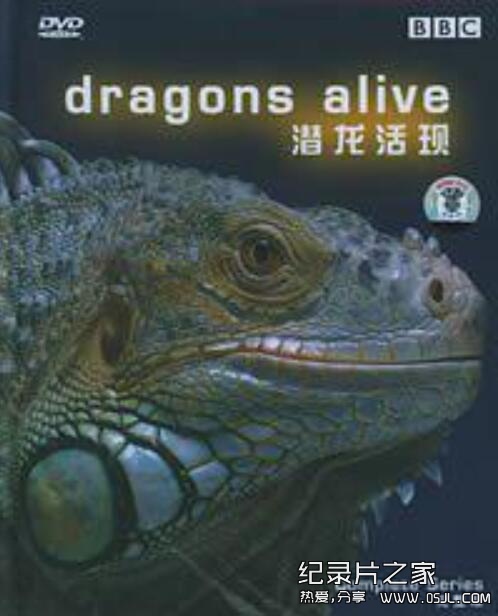 [国英双语]动物世界纪录片：BBC 潜龙活现(现代恐龙)Dragons Alive(2004) 全3集下载图片