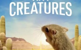  [English subtitles] Netflix Animal Documentary: Tiny Creatures (2020) 8 episodes, 1080P