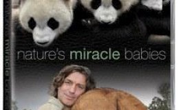 BBC大自然的神奇宝贝 Nature’s Miracle Babies 全四集