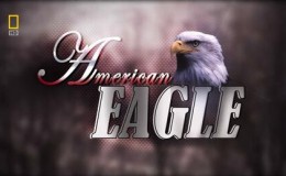 [国家地理]美国国鸟 白头海雕传奇.American Eagle 纪录片下载