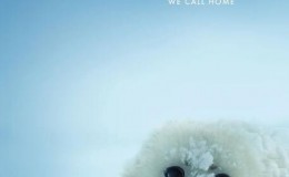  [Chinese characters in English] Netflix produced documentary: Our planet Our Planet (2019) 8 episodes 1080P