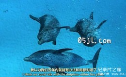  [English subtitles] BBC documentary: Ocean Giants (2011), a three episode HD 720P download