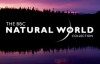  [English subtitles] Animal World Documentary - Founder of Giant Panda/Panda Maker in BBC Natural World
