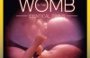  [National Geographic] Uterus Diary: In the Womb: Multiple HD 720P subtitles