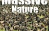  [English subtitles] Animal World Documentary: BBC Mass Nature 6 episodes