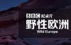  [English and Chinese subtitles] Human Geography Documentary: BBC Wild Europe 4 episodes
