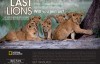 [国家地理]最后的母狮 The Last Lioness 720P 百度网盘