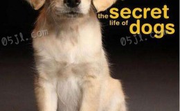 [英语中英字幕]动物世界纪录片：bbc-狗的秘密生活 Secret Life of Dogs (2013) 全1集