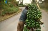 【国语无字】人文地理纪录片 – 世界上最穷的国家：非洲布隆迪(上集+下集)完整版 高清720P