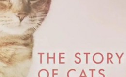【英语中英字幕】豆瓣9.0分猫纪录片：猫科动物的故事 The Story of Cats (2016) 全3集 高清720P