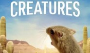 【英语中英字幕】Netflix动物纪录片:微观世界/迷你生物世界 Tiny Creatures (2020) 全8集 超清1080P