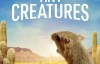 【英语中英字幕】Netflix动物纪录片：微观世界/迷你生物世界 Tiny Creatures (2020) 全8集 超清1080P