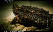 【国语中字】央视纪录片:山海经-失落的天书 (2010) 全1集