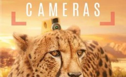 【英语中英字幕】bbc纪录片：假如动物会摄影（动物摄影师） Animals with Cameras 全3集合辑版 高清1080P