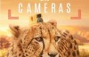【英语中英字幕】bbc纪录片：假如动物会摄影（动物摄影师） Animals with Cameras 全3集合辑版 高清1080P