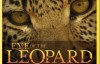 国家地理：豹的眼睛 Eye of the Leopard 高清720P 外挂中文字幕