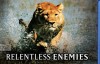 国家地理：冷酷宿敌 Relentless Enemies 高清720p 百度网盘下载