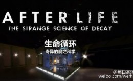 [BBC纪录片]生命循环：奇异的腐烂科学 高清720P