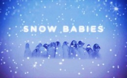 BBC 冰上动物宝宝 Snow Babies 超清1080P 百度网盘下载
