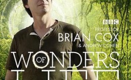 BBC 生命的奇迹 Wonders of Life 全5集 蓝光高清1080P+外挂字幕 下载