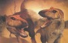 Discovery 恐龙纪元 When Dinosaurs Roamed America 高清720P ed2k下载