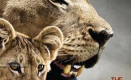 [国家地理]最后的狮子 The Last Lions 高清720 带字幕 百度网盘下载