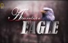 [国家地理]美国国鸟 白头海雕传奇.American Eagle 纪录片下载
