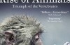 BBC 动物的崛起：脊椎动物的胜利 第一季 全2集 蓝光720P下载