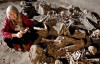 BBC纪录片 生死庞贝 Pompeii Life and Death in a Roman Town 720P下载