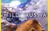 国家地理:野性俄罗斯 Wild Russia 全6集 高清在线观看及1080P蓝光下载