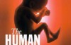 BBC纪录片：人体漫游 The Human Body 全7集 高清720P下载