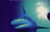 BBC大型纪录片：蓝色星球 Blue Planet 全10集 高清双语字幕ed2及百度云下载