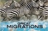 [国家地理]大迁徙(生灵的远征) Great Migrations 全6集高清720P下载