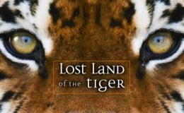 BBC纪录片：老虎失落之地 Lost Land of the Tiger 全三集高清720P下载