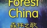 CCTV大型纪录片:森林之歌 Forest China 全11集在线观看及高清下载