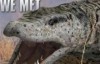 BBC纪录片：史前怪物 Monsters We Met 高清720P下载
