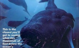 [英语中英字幕]深海探秘纪录片：BBC-海洋奥德赛 Ocean Odyssey 全1集