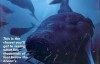 [英语中英字幕]深海探秘纪录片：BBC-海洋奥德赛 Ocean Odyssey 全1集
