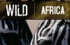 [英语中英字幕]动物世界纪录片：BBC野性非洲 Wild Africa 全6集下载