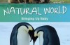 [英语中英字幕]动物世界纪录片：BBC 自然世界 动物母性 Bringing Up Baby 全1集
