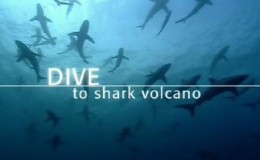 [英语中英字幕]海底探秘纪录片：bbc-2005.探潜鲨鱼火山 BBC Dive To Shark Volcano 全1集