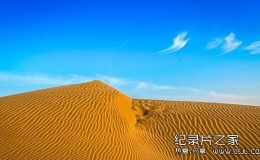 [英语中字]Discovery纪录片：印度塔尔大沙漠THAR India’s great desert 全1集 高清下载