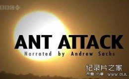 [英语中英字幕]动物世界纪录片：bbc-自然世界：蚂蚁攻击 Natural World: Ant Attack (2006)全1集 高清下载