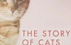 [英语中字]动物世界纪录片：bbc-猫科动物的故事 The Story of Cats (2016)全3集 高清720P下载