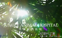 [英语中英字幕] BBC自然世界：丛林动物医院Jungle Animal Hospital 2016 全1集 高清720P下载