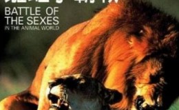[英语中字]动物世界纪录片：BBC-雌雄争霸战 全6集